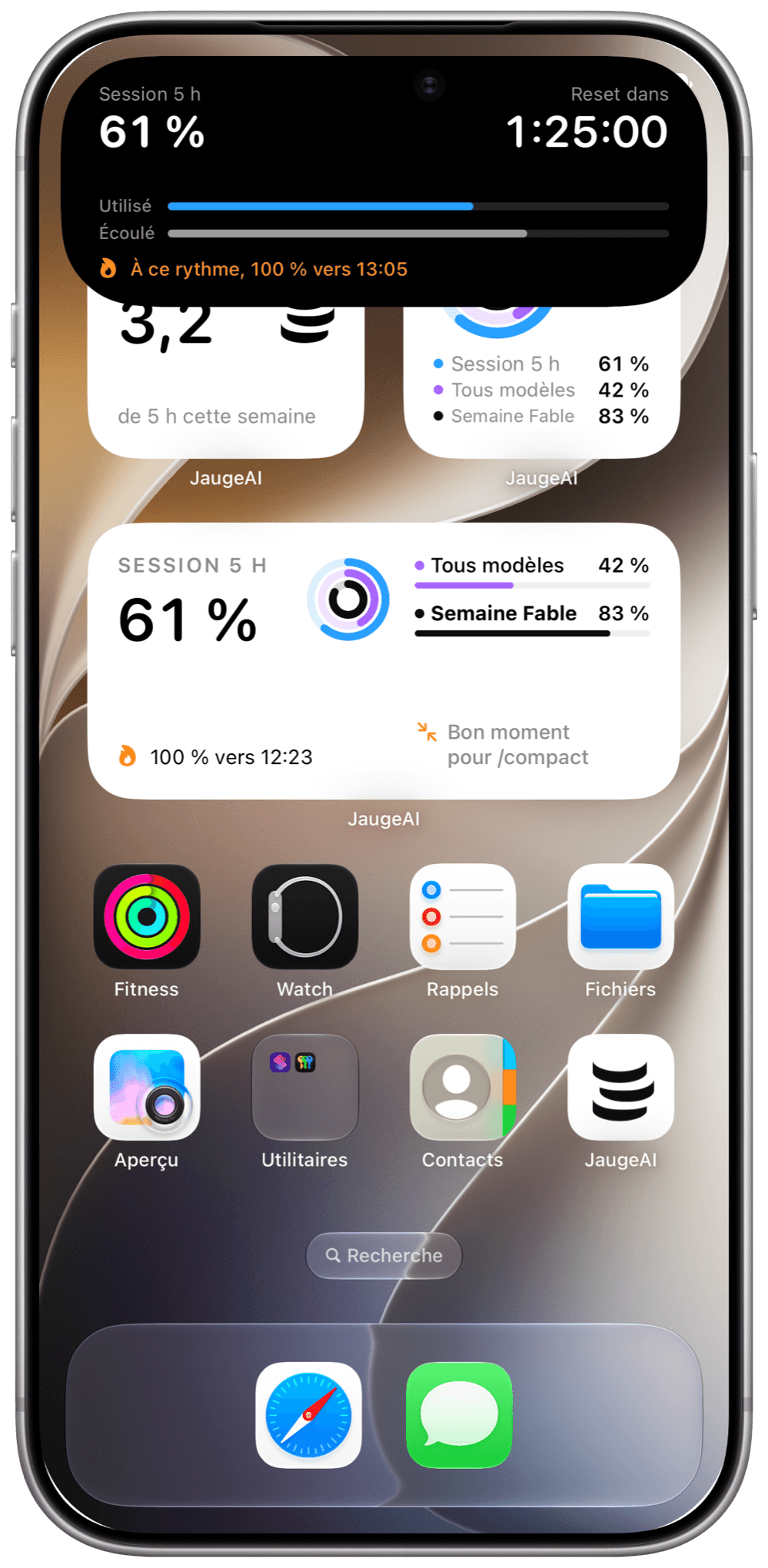 La Dynamic Island ouverte : 61 %, reset dans 1:25:00